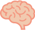 Brain category icon