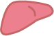 Liver category icon