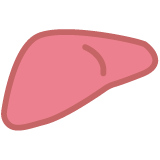 Liver category icon